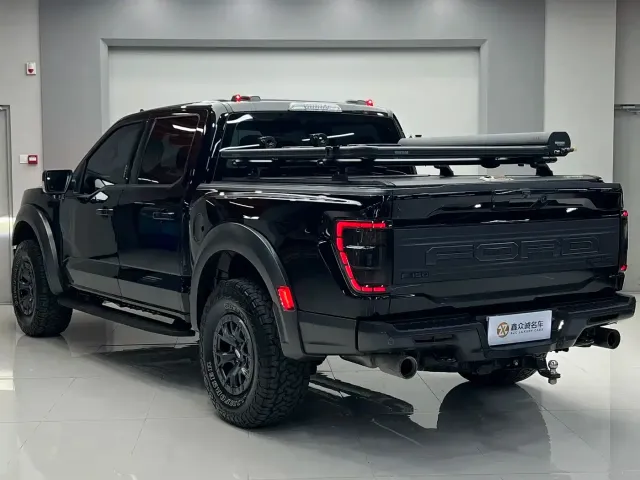 Ford F-150 Raptor — Фото автомобиля 20