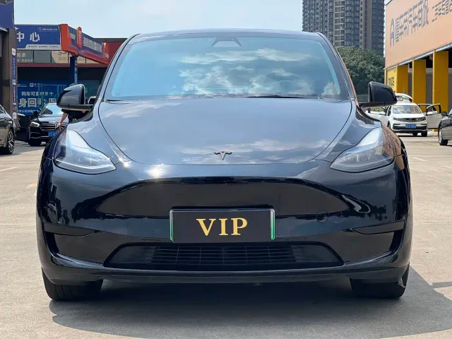 Tesla Model Y — Фото автомобиля 2