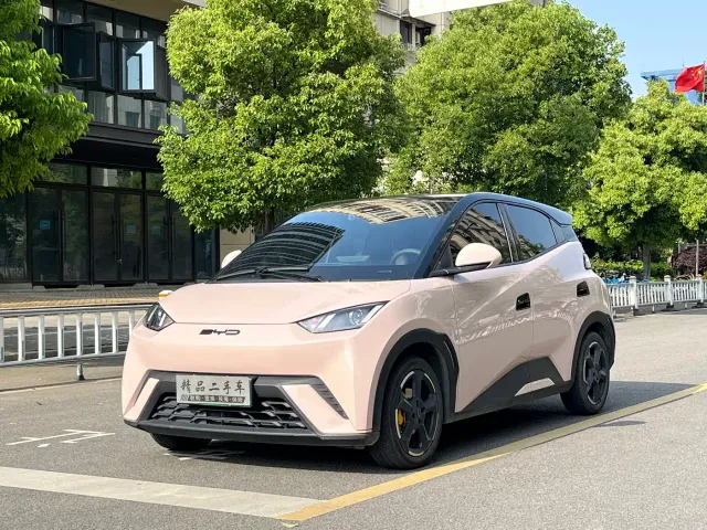 Фотография автомобиля — BYD Seagull