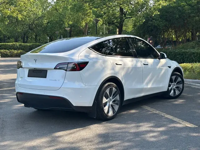Tesla Model Y — Фото автомобиля 8