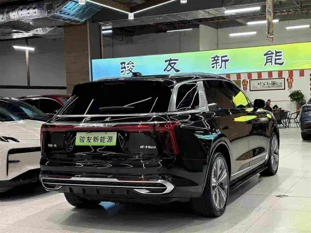 Hongqi E-HS9 — Фото автомобиля 2