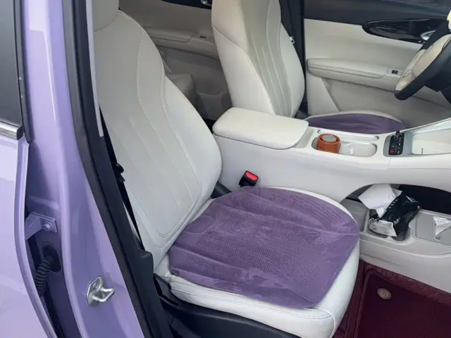 Geely Starry Wish — Фото автомобиля 3