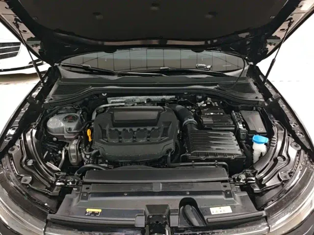 Volkswagen Passat — Фото автомобиля 19