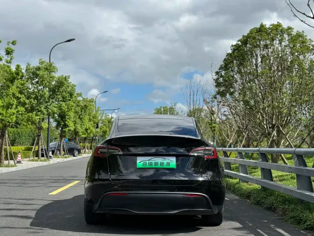 Tesla Model Y — Фото автомобиля 5
