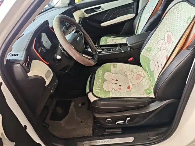 Haval Chitu — Фото автомобиля 14
