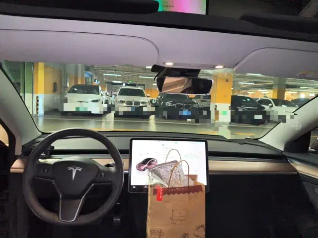 Tesla Model 3 — Фото автомобиля 14