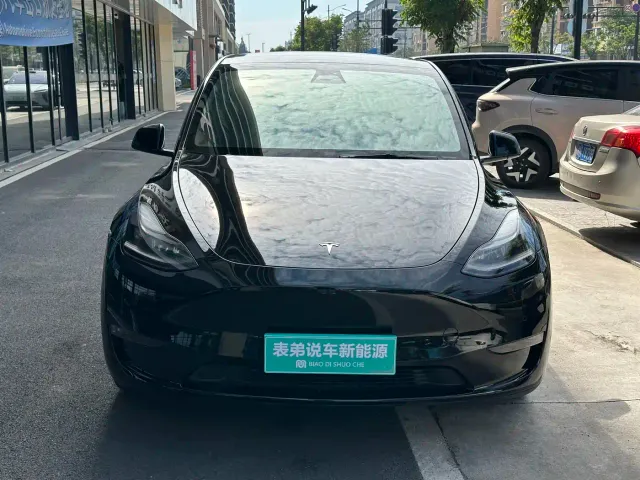 Tesla Model Y — Фото автомобиля 2