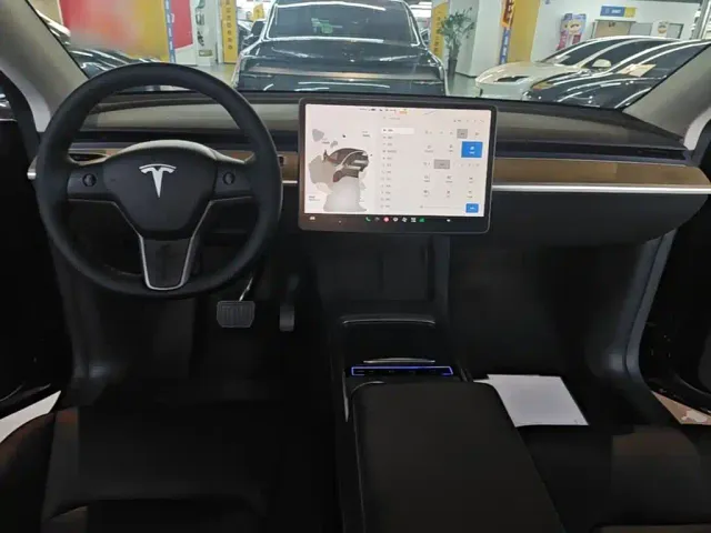 Tesla Model Y — Фото автомобиля 9