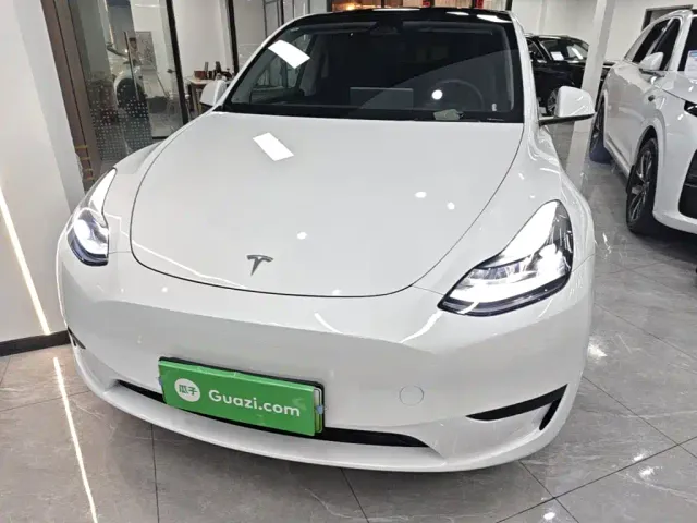 Tesla Model Y — Фото автомобиля 2