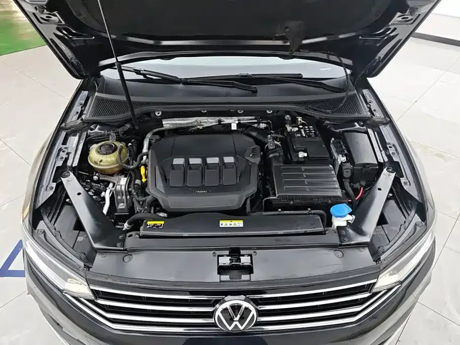 Volkswagen Magotan 2020 330TSI DSG Luxury — Фото автомобиля 10