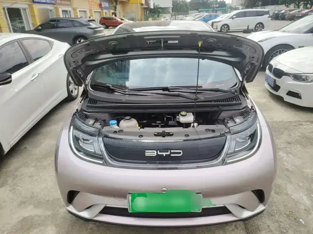 BYD Dolphin — Фото автомобиля 19