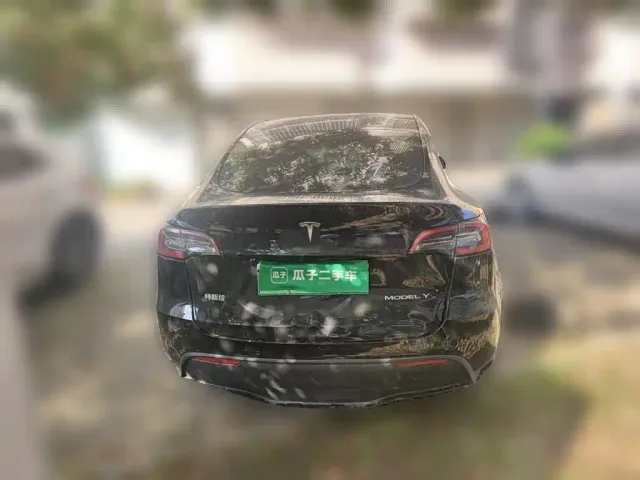 Tesla Model Y — Фото автомобиля 3