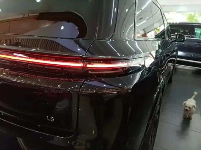 Li Auto L8 — Фото автомобиля 7