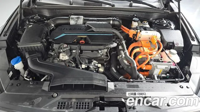 Kia K8 Noblesse — Фото автомобиля 6