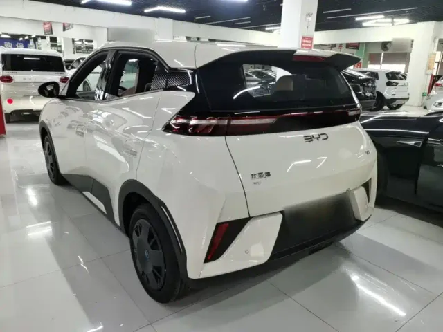 BYD Seagull — Фото автомобиля 4