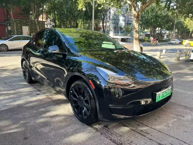 Tesla Model Y — Фото автомобиля 3