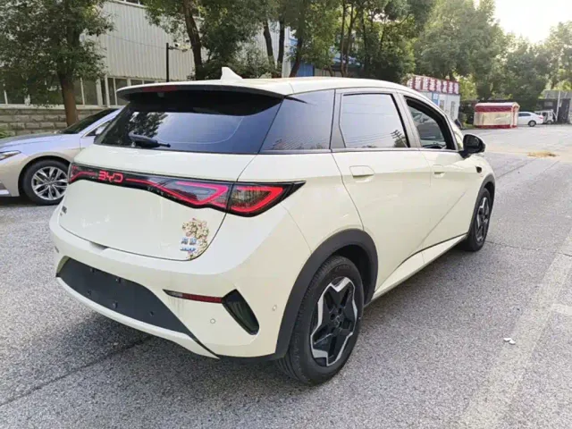 BYD Dolphin — Фото автомобиля 6