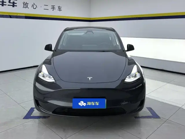 Tesla Model Y — Фото автомобиля 2
