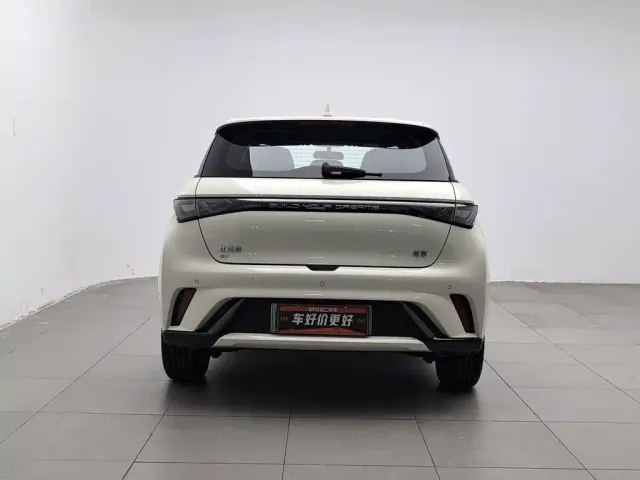 BYD Dolphin — Фото автомобиля 4
