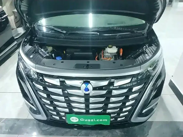 Denza Denza D9 2022 DM-i 970 AWD Flagship — Фото автомобиля 19