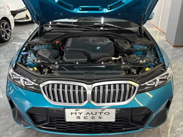 BMW 3 Series — Фото автомобиля 15