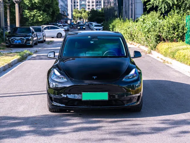 Tesla Model Y — Фото автомобиля 2