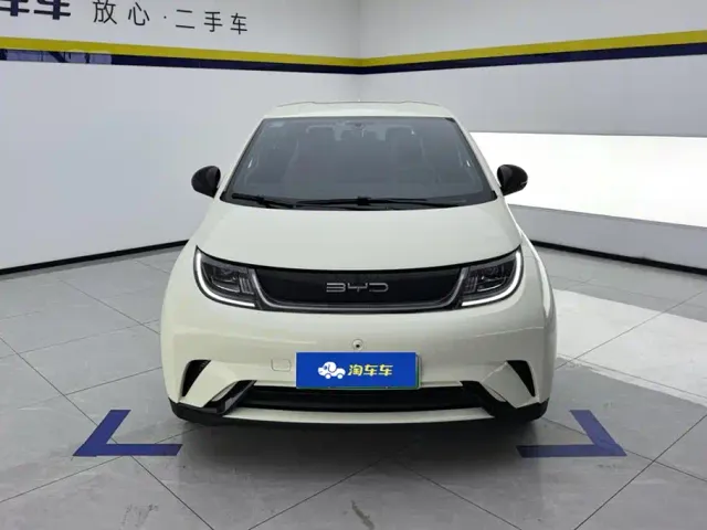 BYD Dolphin — Фото автомобиля 2