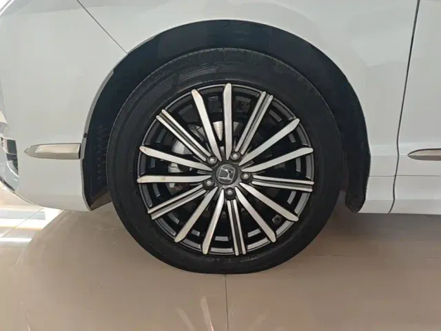 Honda Elysion — Фото автомобиля 22
