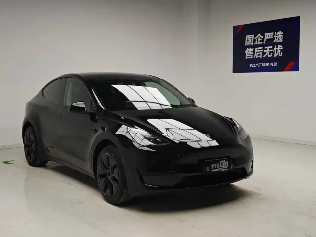 Tesla Model Y — Фото автомобиля 3