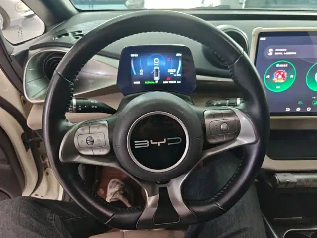 BYD Dolphin — Фото автомобиля 10
