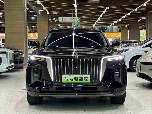 Hongqi E-HS9 — Фото автомобиля 10