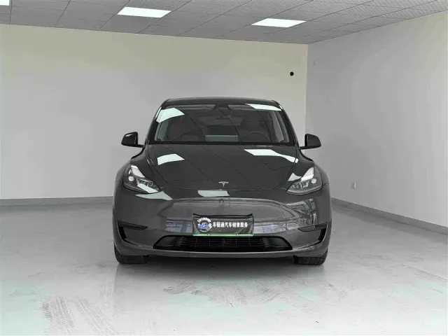 Tesla Model Y — Фото автомобиля 2