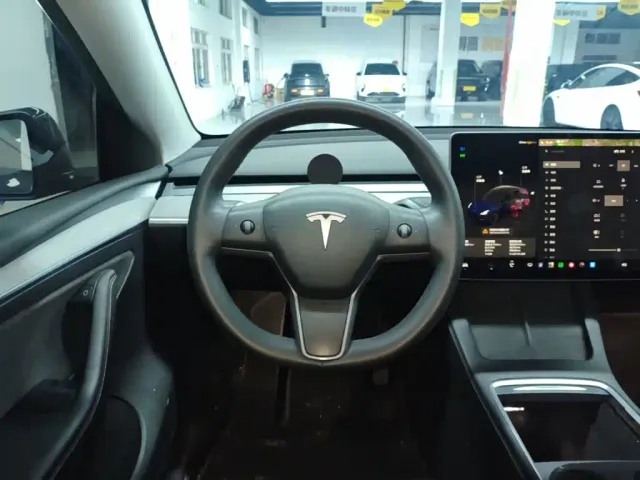 Tesla Model Y — Фото автомобиля 10