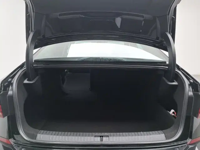 Volkswagen Passat — Фото автомобиля 16