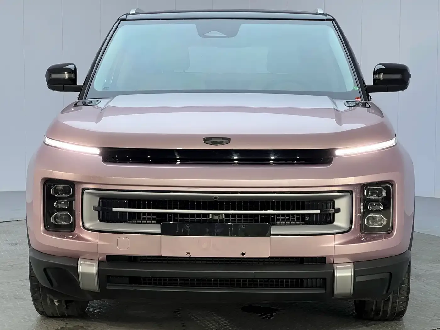 Geely Geely ICON 2023 1.5TD Protagonist — Фото автомобиля 2