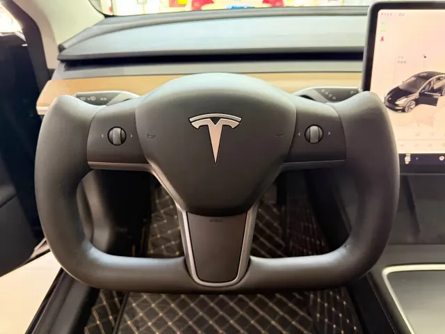 Tesla Model 3 — Фото автомобиля 10