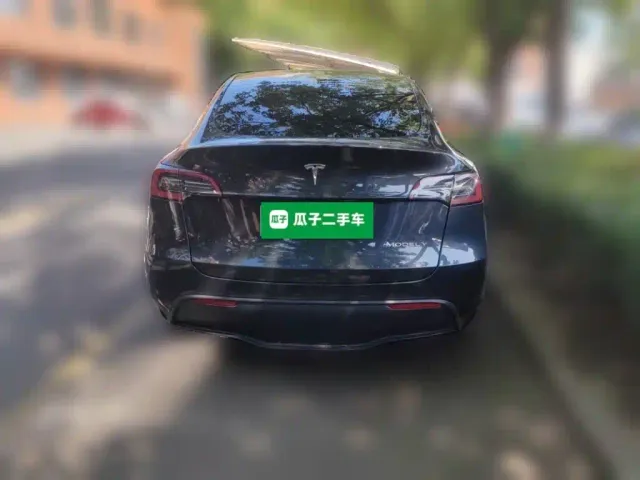 Tesla Model Y — Фото автомобиля 3