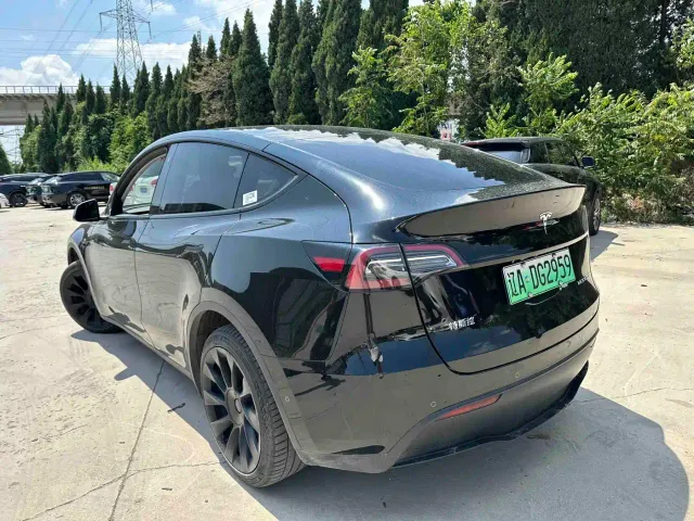 Tesla Model Y — Фото автомобиля 5