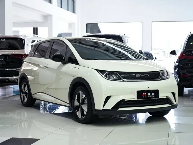 BYD Dolphin — Фото автомобиля 16