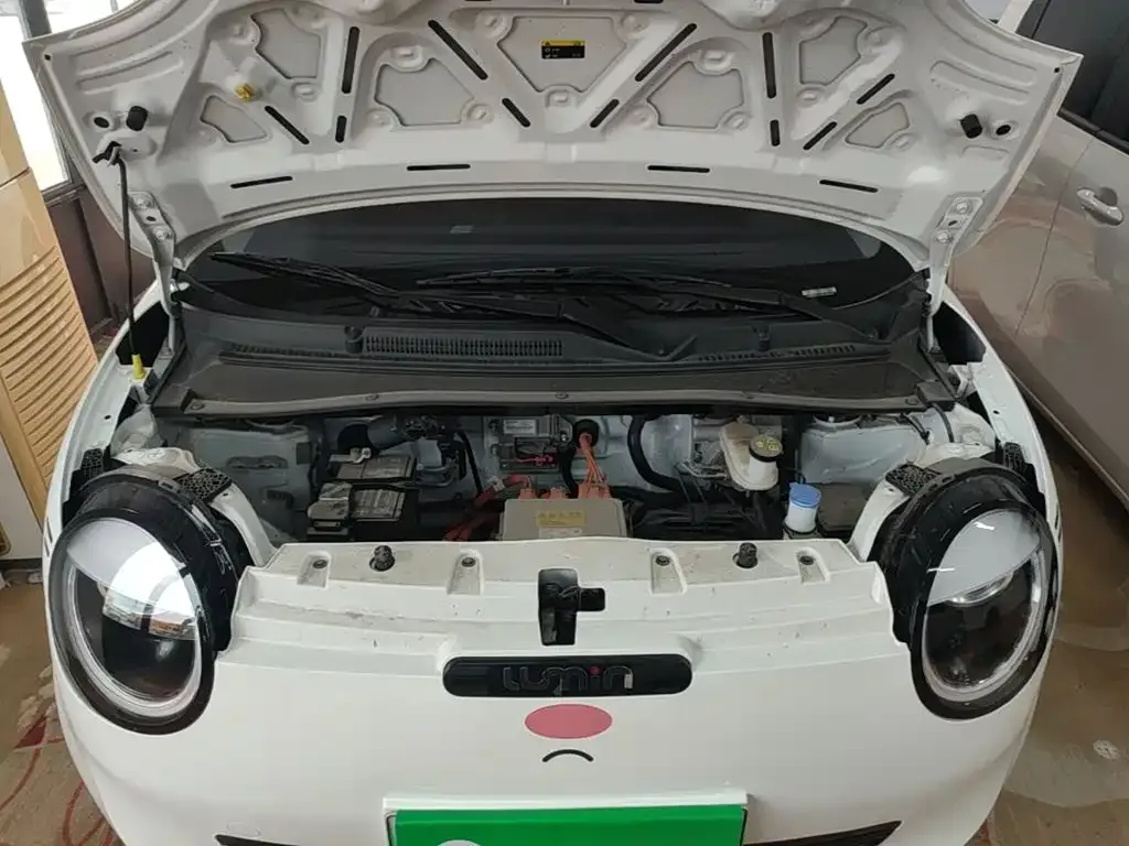 Changan Qiyuan Changan Lumin 2025 205km Fragrant Infusion Edition — Фото автомобиля 19