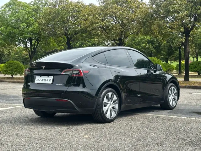 Tesla Model Y — Фото автомобиля 6