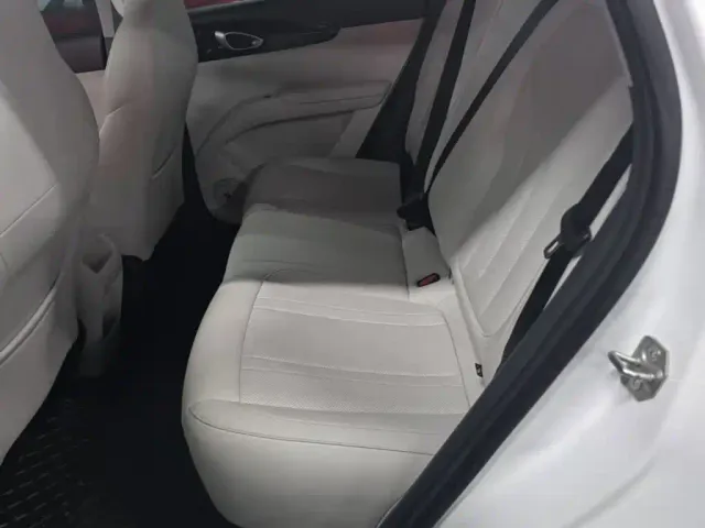 Geely Starry Wish — Фото автомобиля 16