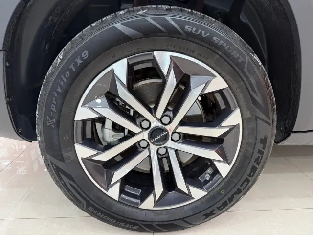 Haval Big Dog — Фото автомобиля 11