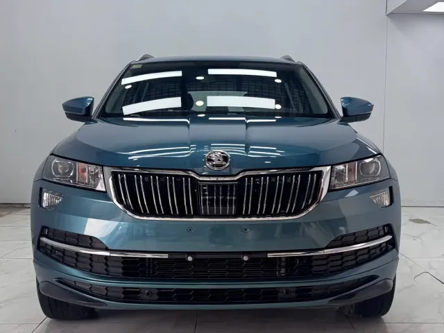 Skoda Karoq — Фото автомобиля 2