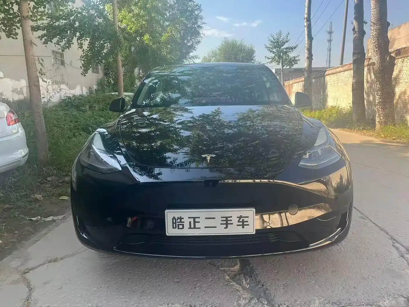 Tesla Model Y 2023 Rear-Wheel Drive Edition — Фото автомобиля 3