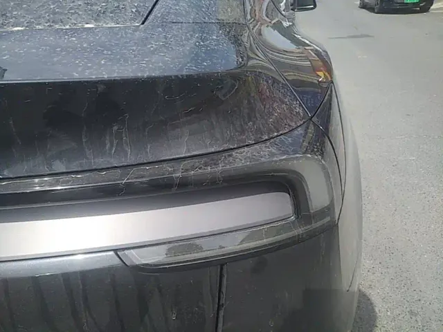 Tesla Model Y — Фото автомобиля 23