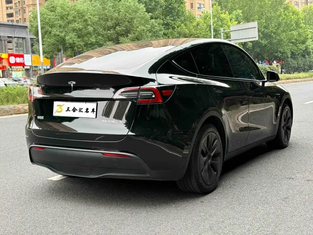 Tesla Model Y — Фото автомобиля 10