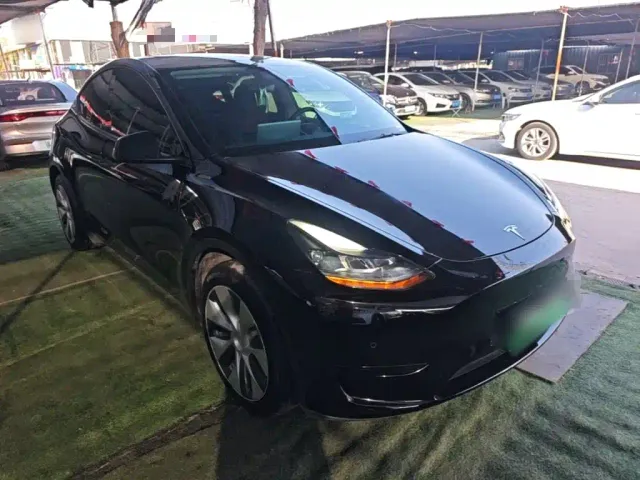 Tesla Model Y — Фото автомобиля 3