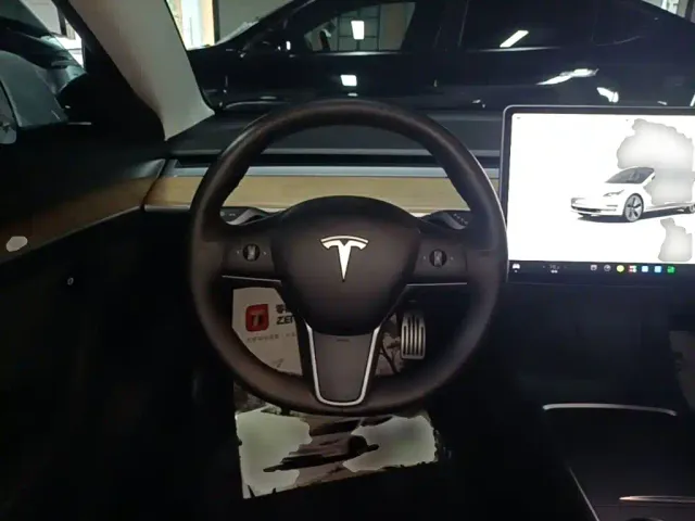 Tesla Model 3 — Фото автомобиля 10