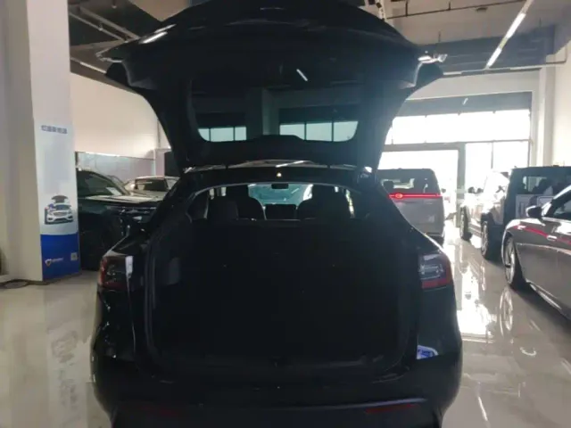 Tesla Model Y — Фото автомобиля 14